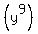 %28y%5E9%29
