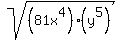 +sqrt%28%2881x%5E4%29%2A%28y%5E5%29%29