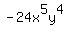 -24x%5E5y%5E4