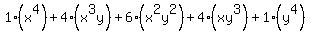 1%28x%5E4%29%2B4%28x%5E3y%29%2B6%28x%5E2y%5E2%29%2B4%28xy%5E3%29%2B1%28y%5E4%29