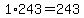 1%2A+243+=+243