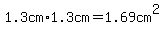 1.3cm%2A1.3cm=1.69cm%5E2