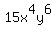 15x%5E4y%5E6