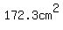 172.3cm%5E2