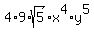 4%2A9%2Asqrt%285%29%2Ax%5E4%2Ay%5E5