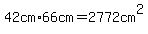 42cm%2A66cm=2772cm%5E2+