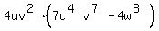 4uv%5E%282%29+%2A+%287u%5E%284%29+v%5E%287%29+-+4w%5E%288%29%29