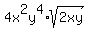 4x%5E2y%5E4%2Asqrt%282xy%29