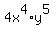 4x%5E4%2Ay%5E5+