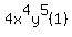4x%5E4y%5E5%281%29