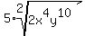 5%2Aroot%282%2C2x%5E4y%5E10%29