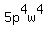5p%5E4w%5E4