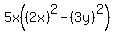 5x%28%282x%29%5E2-%283y%29%5E2%29