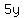 5y+