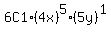 6C1%2A%284x%29%5E5%285y%29%5E1