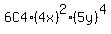 6C4%2A%284x%29%5E2%285y%29%5E4