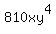 810xy%5E4