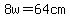 8w=64cm
