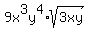 9x%5E3y%5E4%2Asqrt%283xy%29
