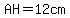 AH=12cm