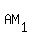 AM%5B1%5D