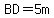 BD=5m