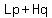 Lp%2BHq