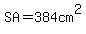 SA+=+384cm%5E2
