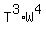 T%5E3+%2A+W%5E4
