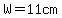 W=11cm