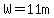 W=11m