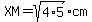 XM=sqrt%284%2A5%29cm