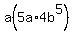 a%285a%2A+4b%5E5%29