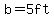 b=5ft