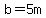 b=5m