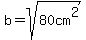 b=sqrt%2880cm%5E2%29