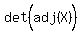 det%28adj%28X%29%5E%22%22%29
