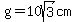 g=10sqrt%283%29cm