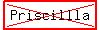 highlight%28cross%28Priscillla%29%29