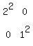 matrix%282%2C2%2C2%5E2%2C0%2C0%2C1%5E2%29