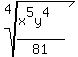 root%284%2C%28x%5E5y%5E4%29%2F81%29