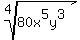 root%284%2C80x%5E5y%5E3%29