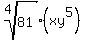 root%284%2C81%29%28xy%5E5%29