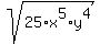 sqrt%2825%2Ax%5E5%2Ay%5E4%29
