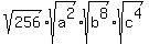 sqrt%28256%29+%2A+sqrt%28a%5E2%29+%2A+sqrt%28b%5E8%29+%2A+sqrt%28c%5E4%29
