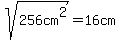 sqrt%28256cm%5E2%29=+16cm