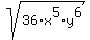 sqrt%2836%2Ax%5E5%2Ay%5E6%29