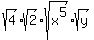 sqrt%284%29sqrt%282%29sqrt%28x%5E5%29sqrt%28y%29