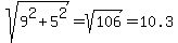 sqrt%289%5E2+%2B+5%5E2%29+=+sqrt%28106%29=+10.3