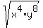 sqrt%28x%5E4%2Ay%5E8%29